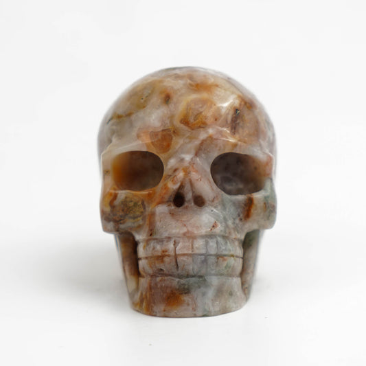 Agate Symbiosis Skull