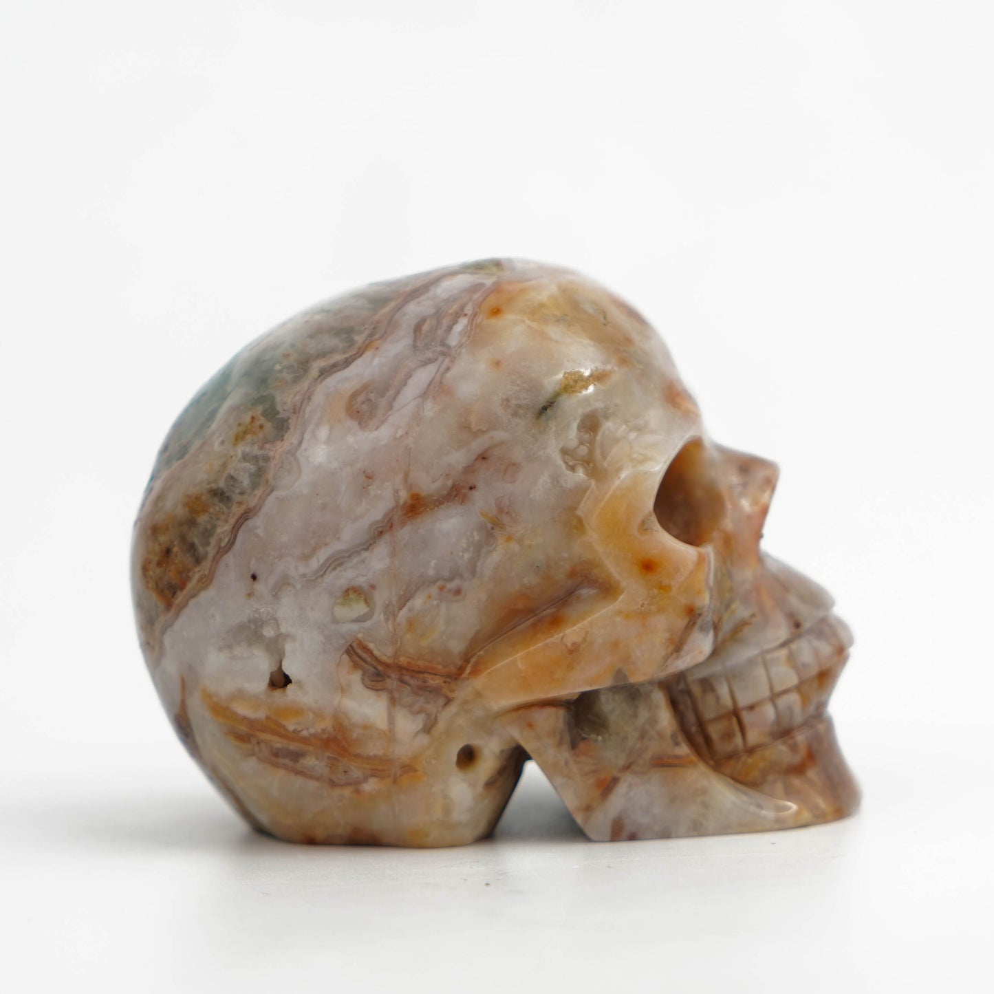 Agate Symbiosis Skull