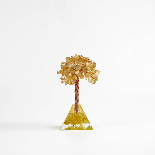 Chips money tree with pyramid base