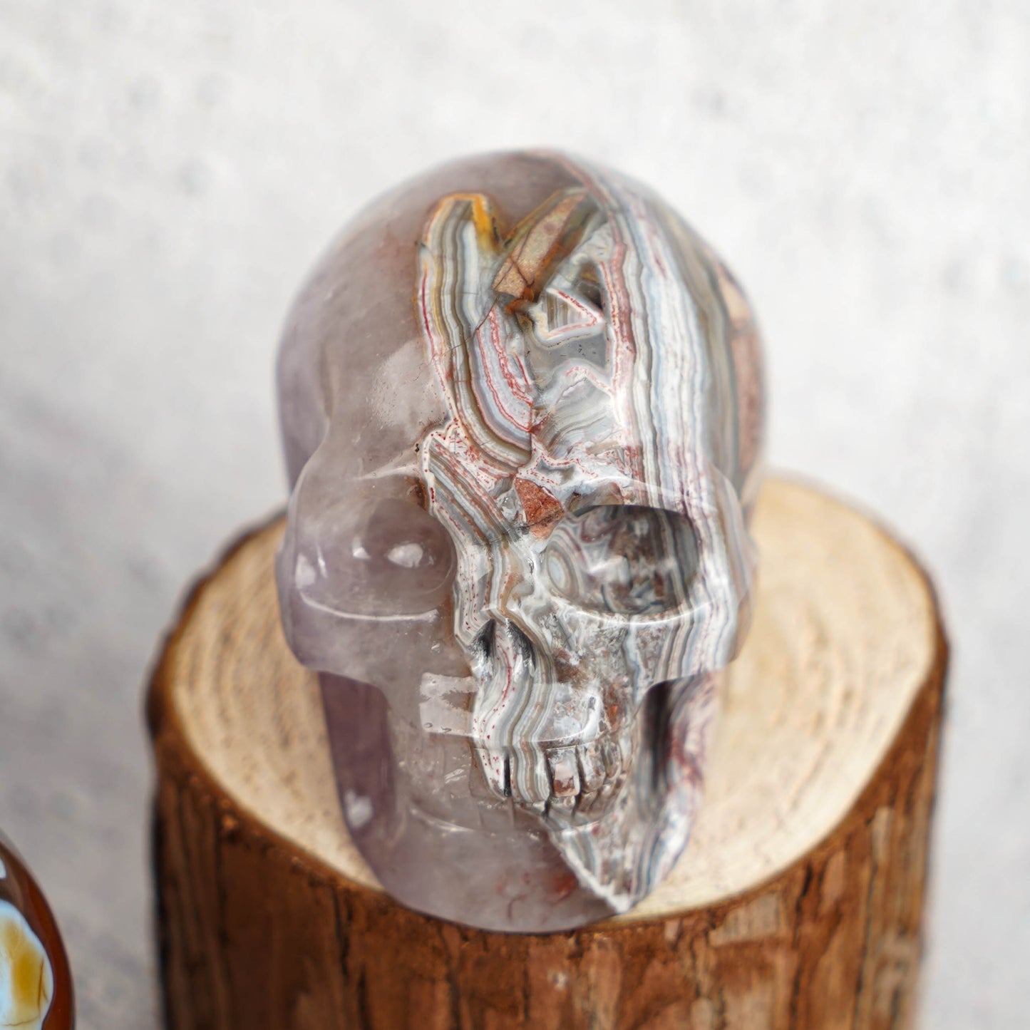 Amethyst And Agate Symbiotic Skull