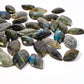 Labradorite Leaves