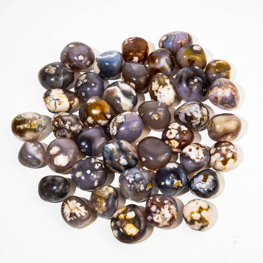 Black Flower Agate Tumble Stones