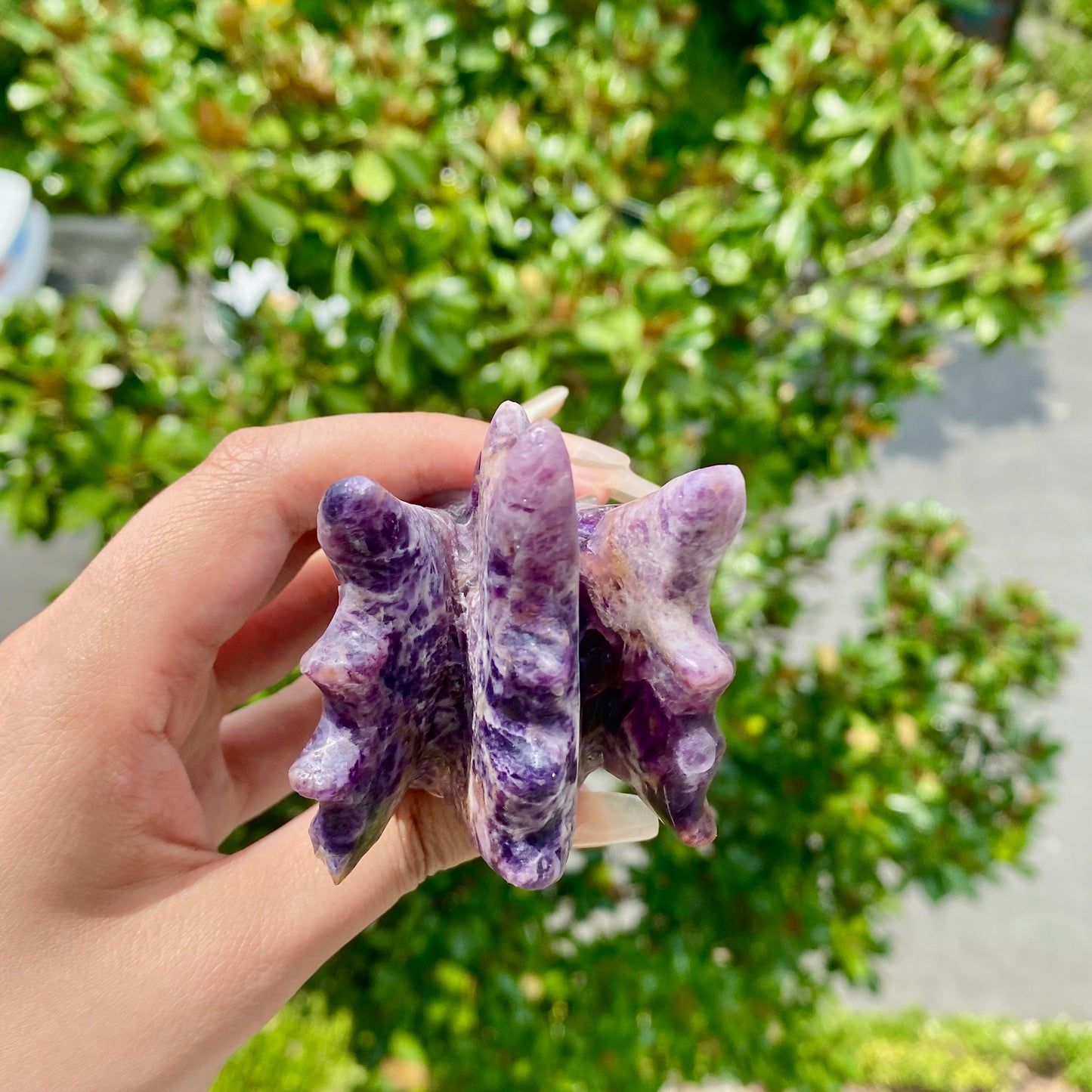 Fluorite Root Dragon Skull