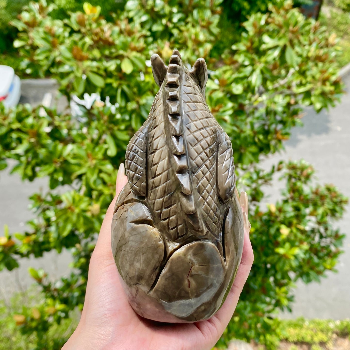 Volcano Agate Skull With Dragon