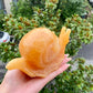 Hand Carved Orange Calcite Snail Skull Sculpture Home Decor