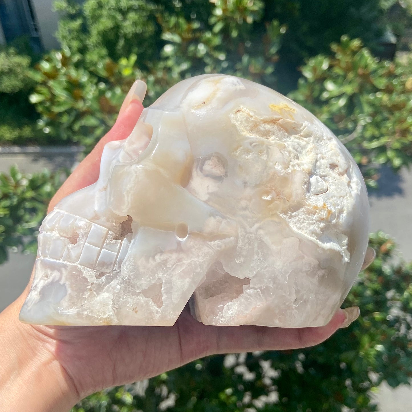 Flower Agate Skull