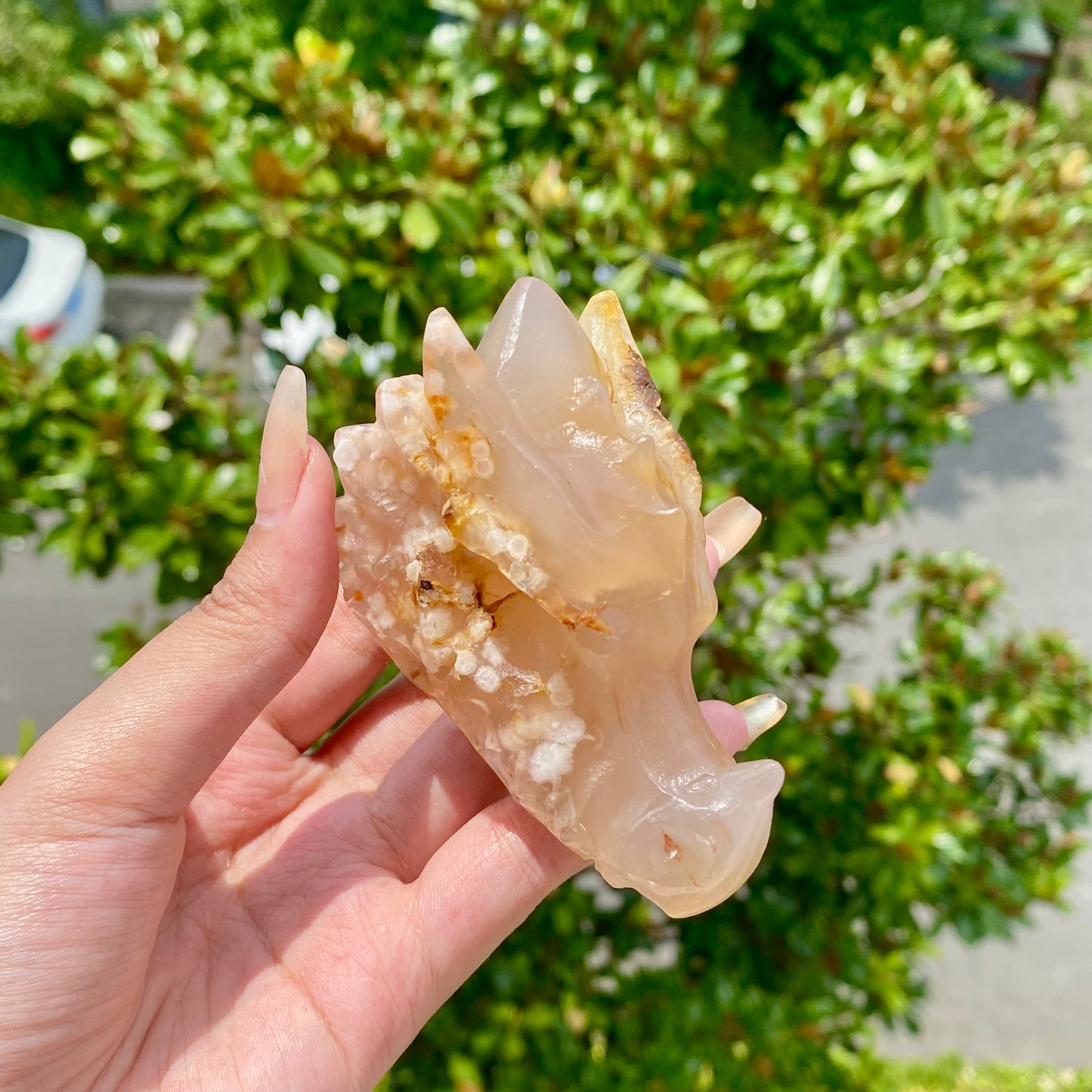 Flower agate Dragon Skull