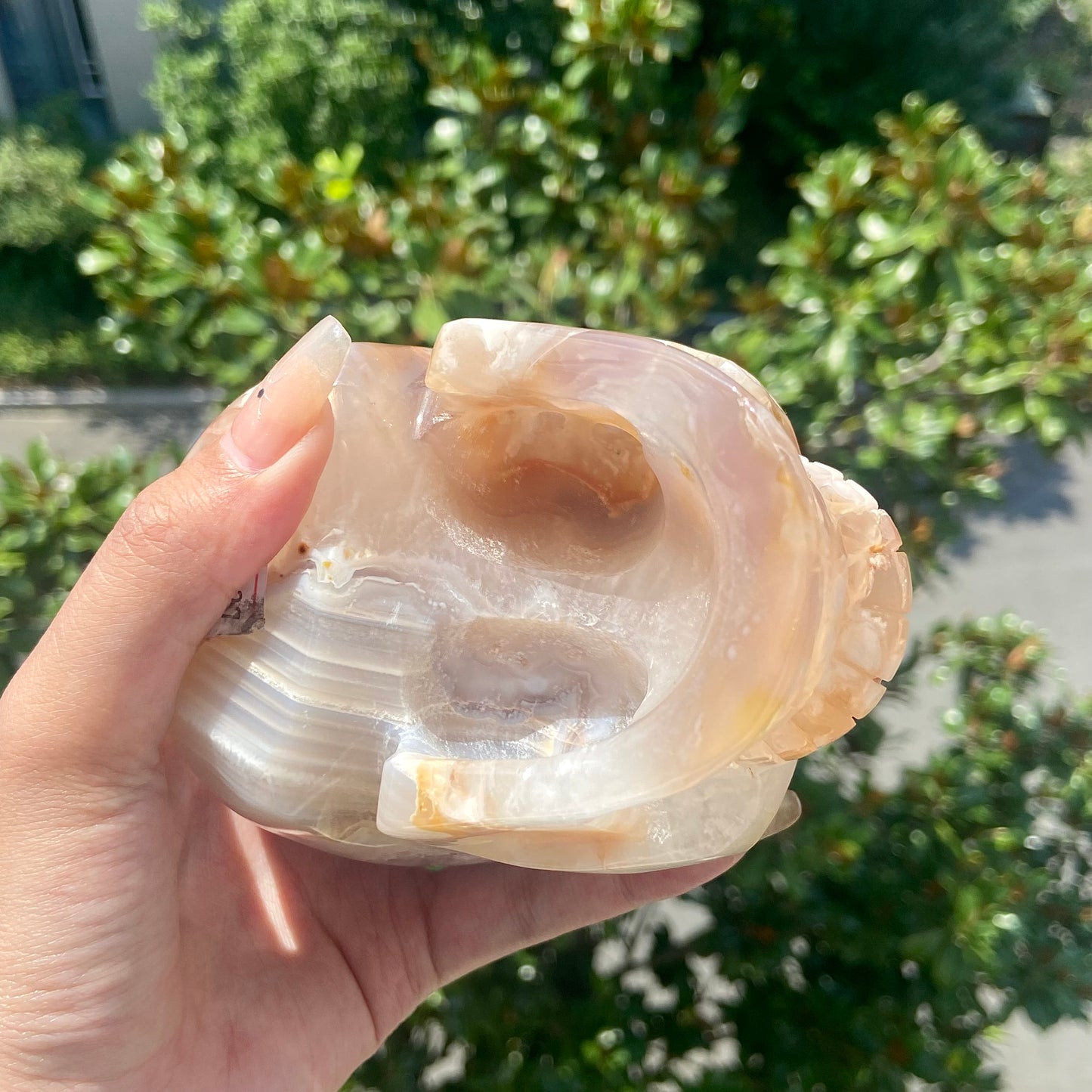 Flower Agate Skull