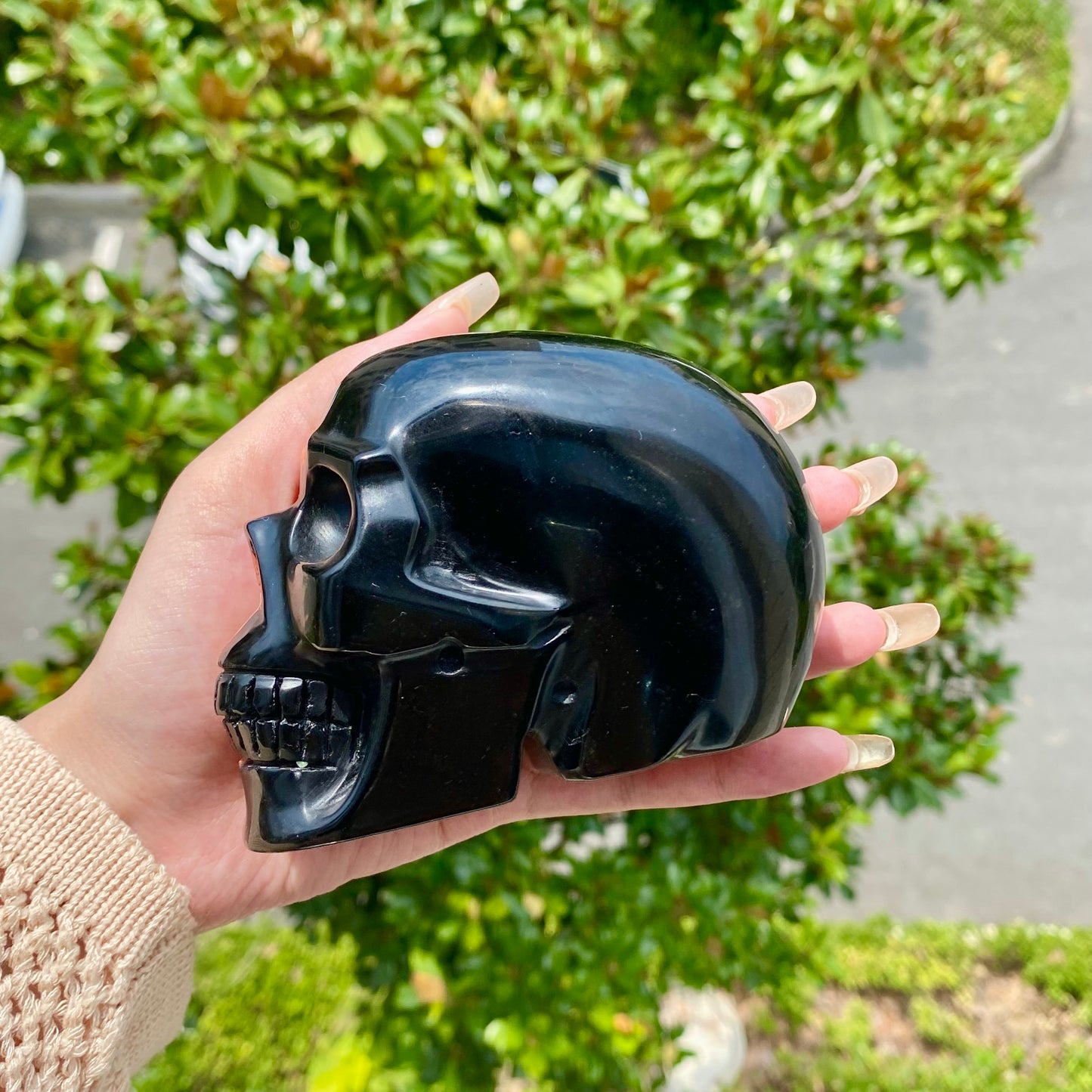 Red Jasper and Obsidian Skull