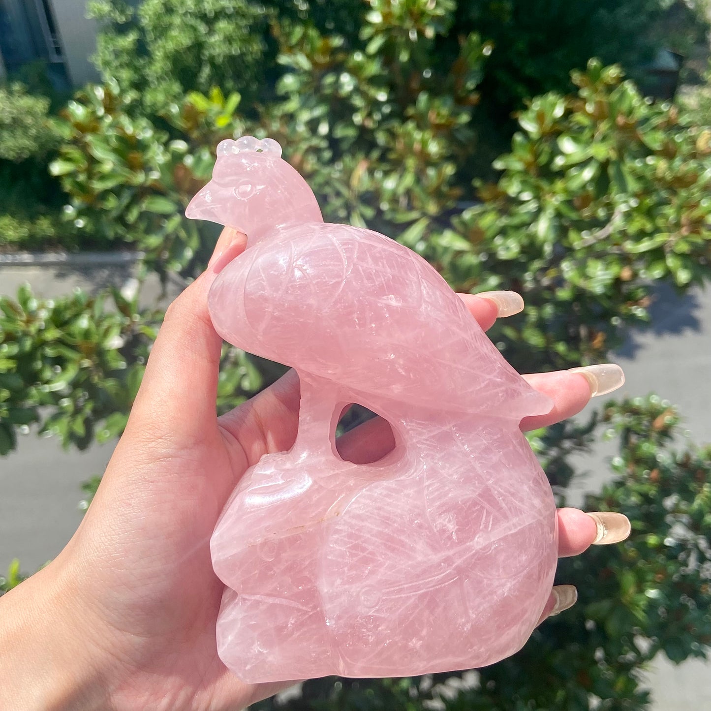 Rose Quartz Crow