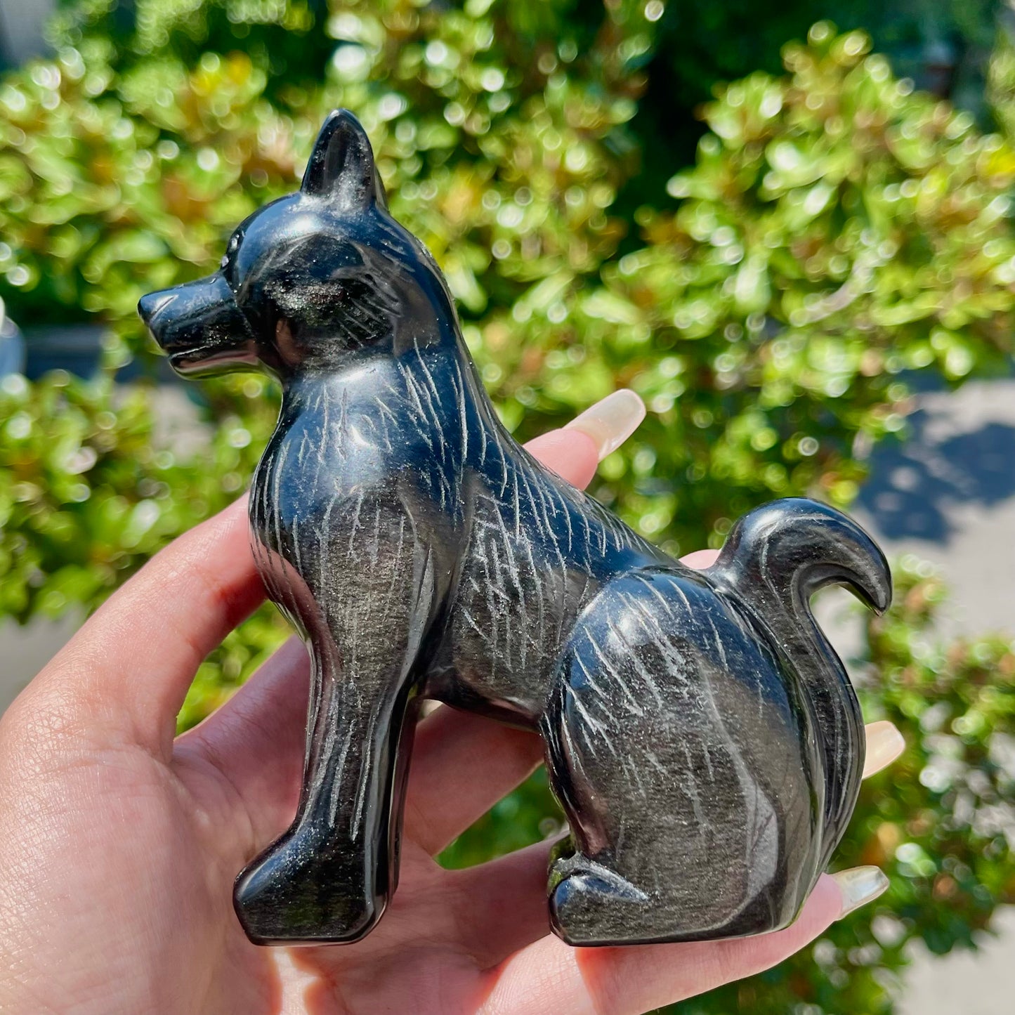 Silver Obsidian Dog