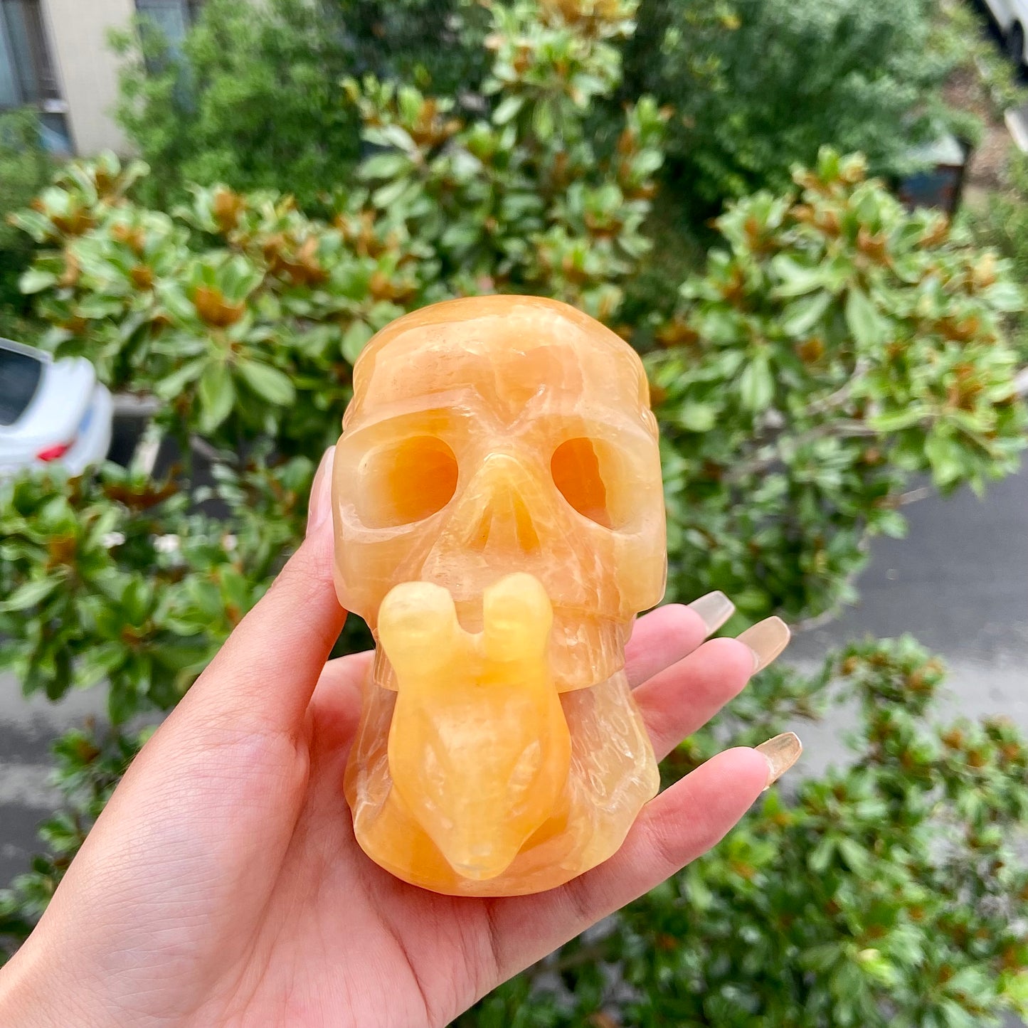 Hand Carved Orange Calcite Snail Skull Sculpture Home Decor