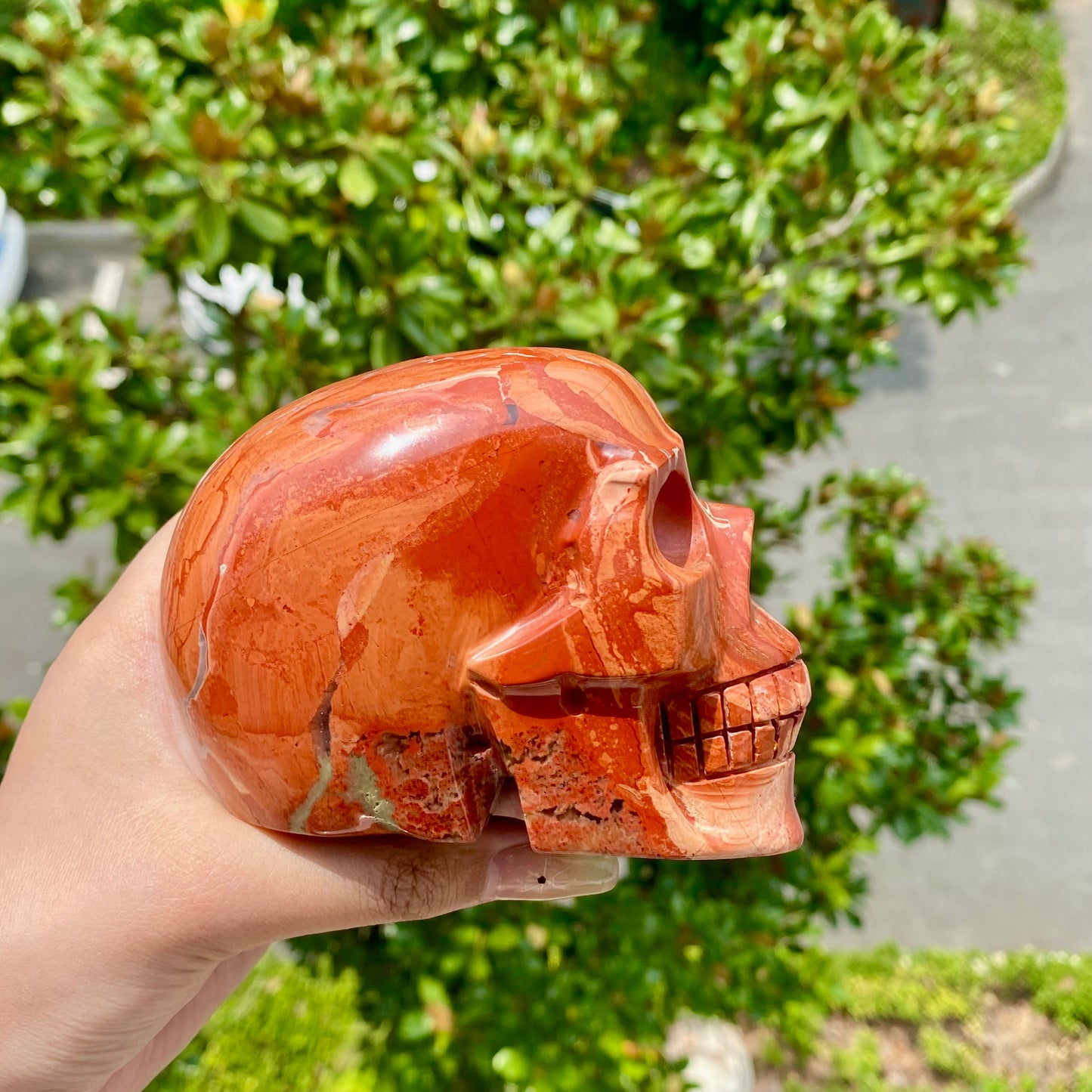 Red Jasper and Obsidian Skull