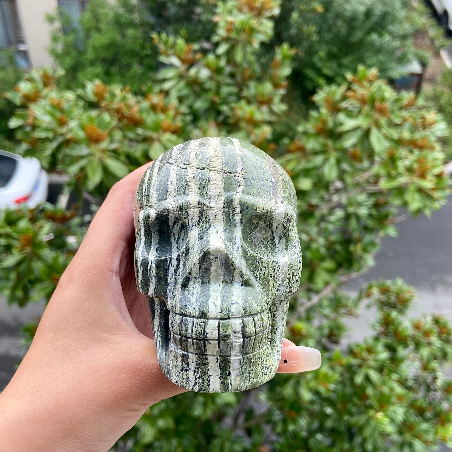 Hand Carved Green Zebra Jasper Skull Sculpture Home Decor