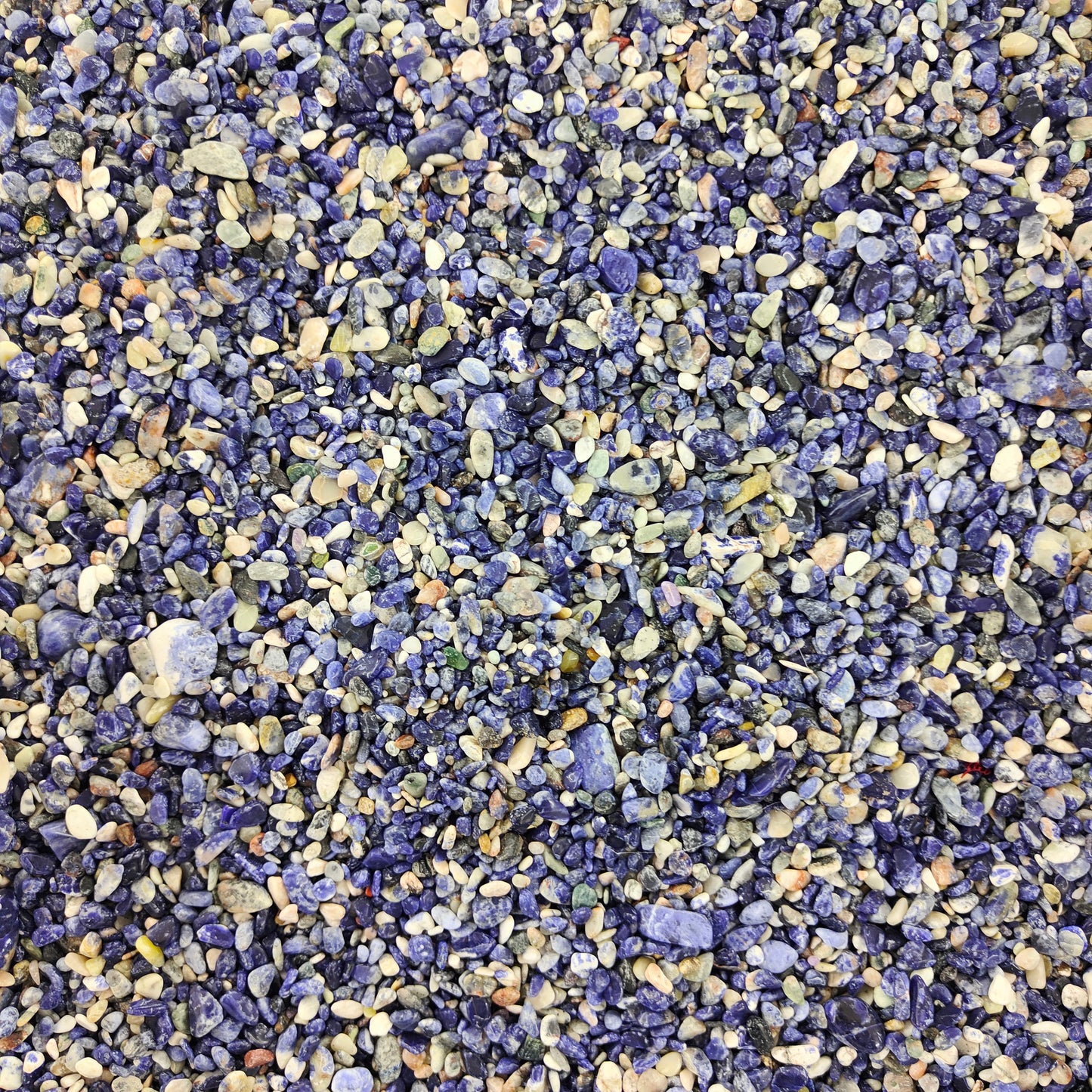 Wholesale Sodalite Chips