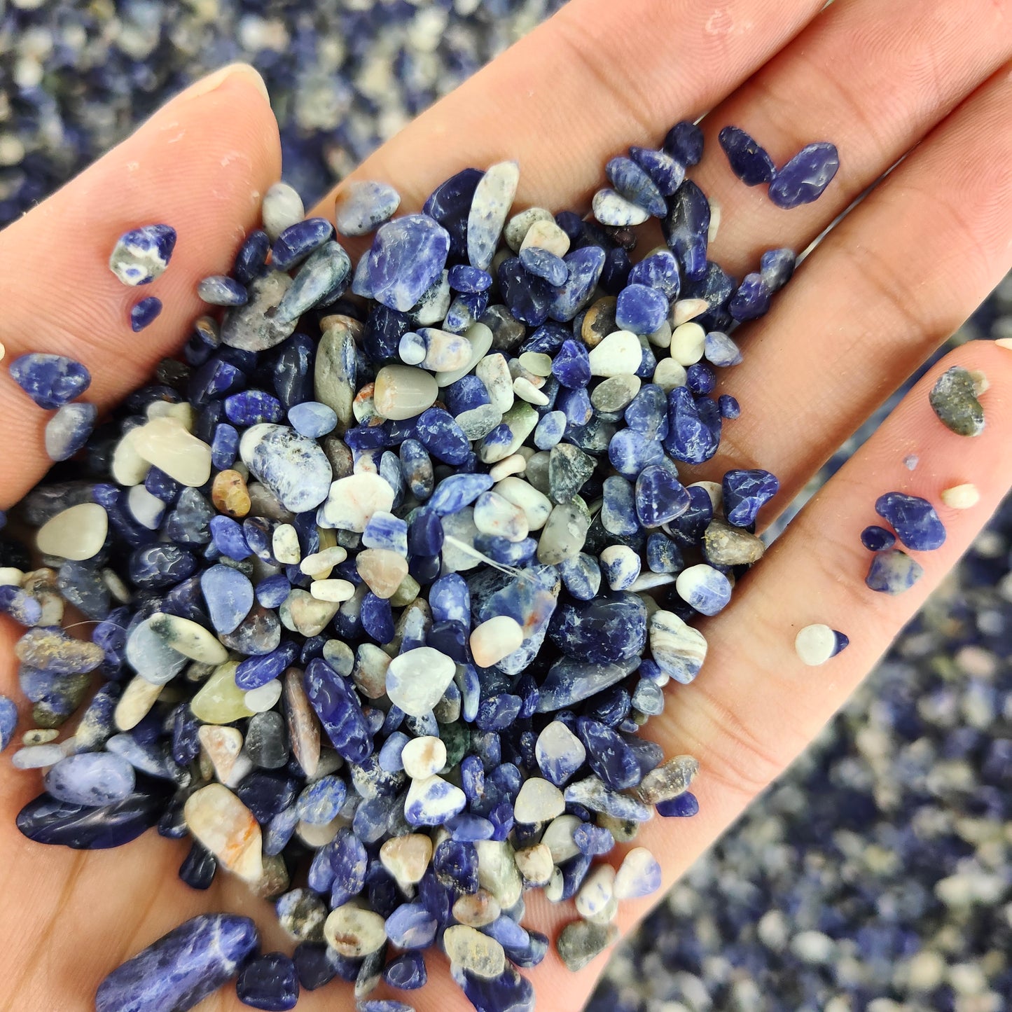 Wholesale Sodalite Chips