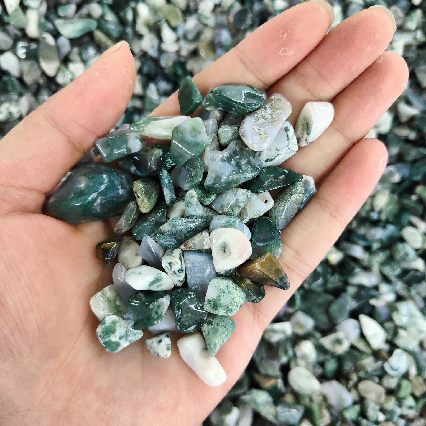 Wholesale Moss Agate Chips