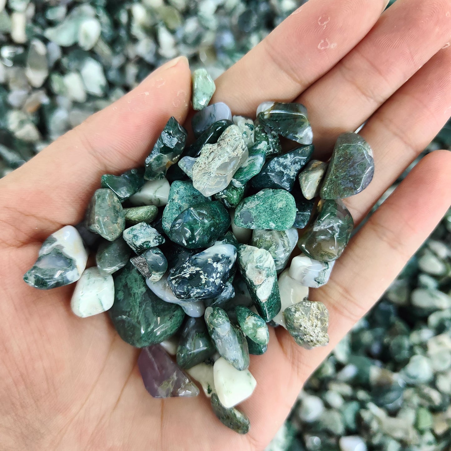 Wholesale Moss Agate Chips