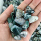 Wholesale Moss Agate Chips