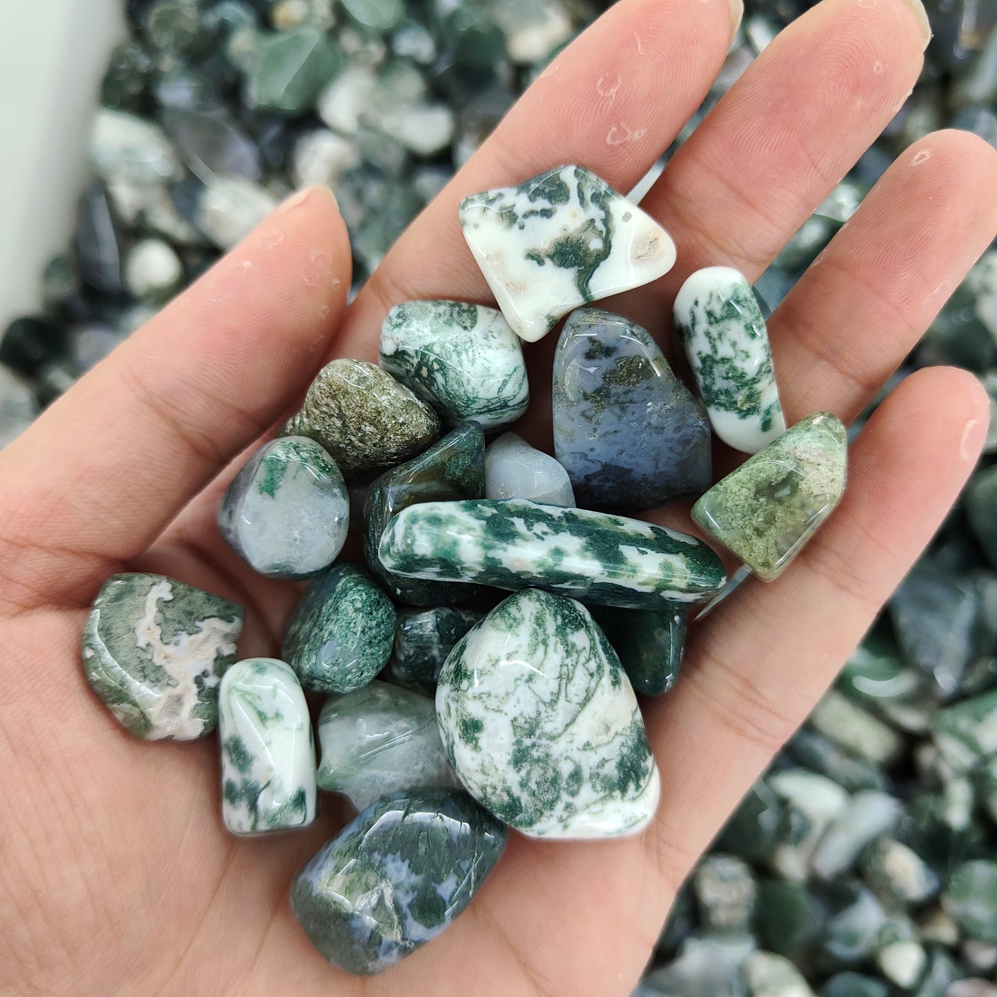 Wholesale Moss Agate Chips