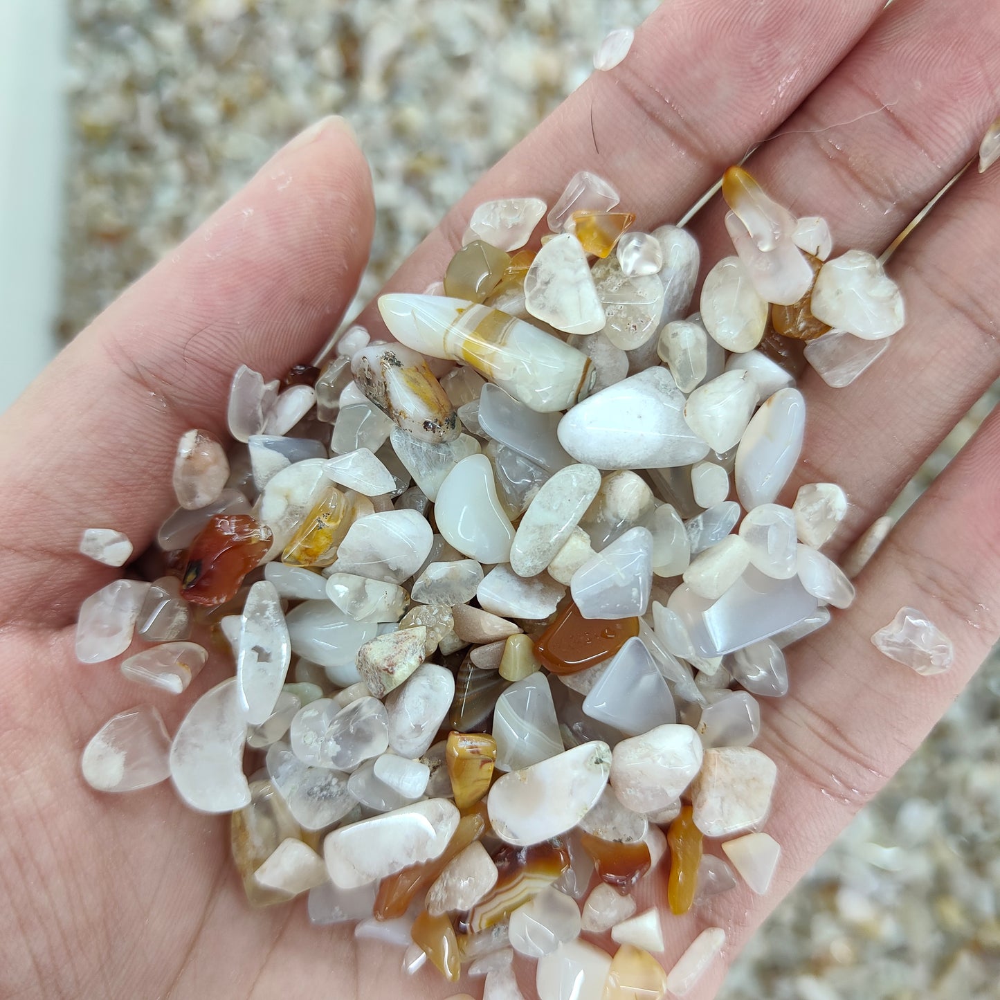 Wholesale Flower Agate Chips