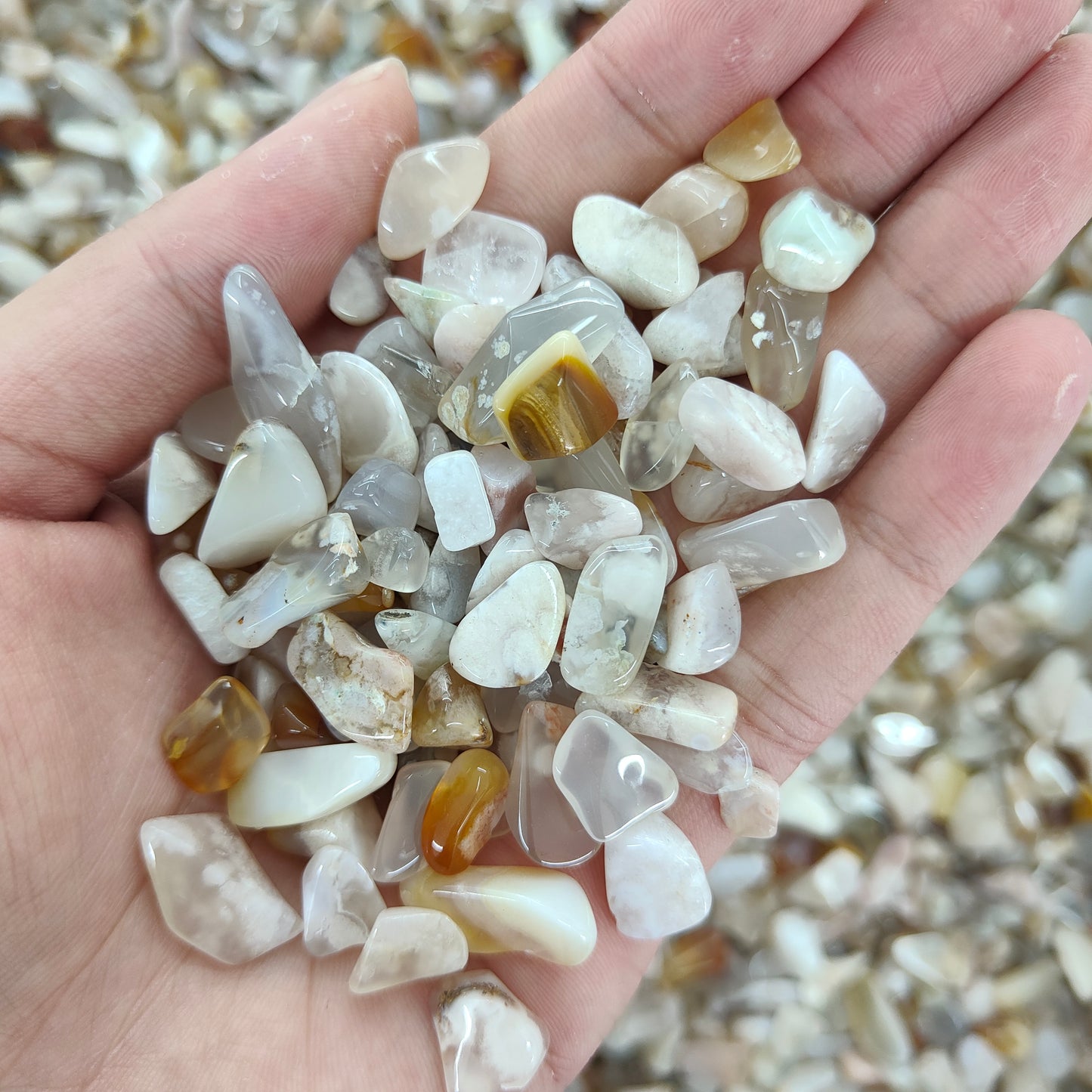 Wholesale Flower Agate Chips