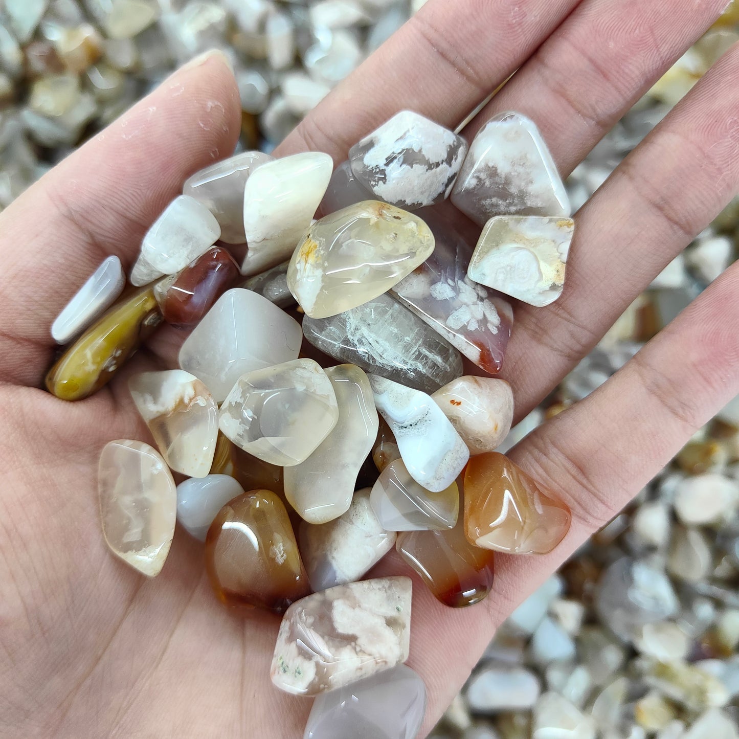 Wholesale Flower Agate Chips