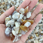 Wholesale Flower Agate Chips