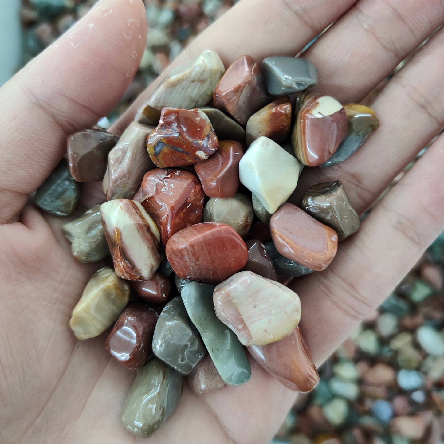 Wholesale Ocean Stone Chips