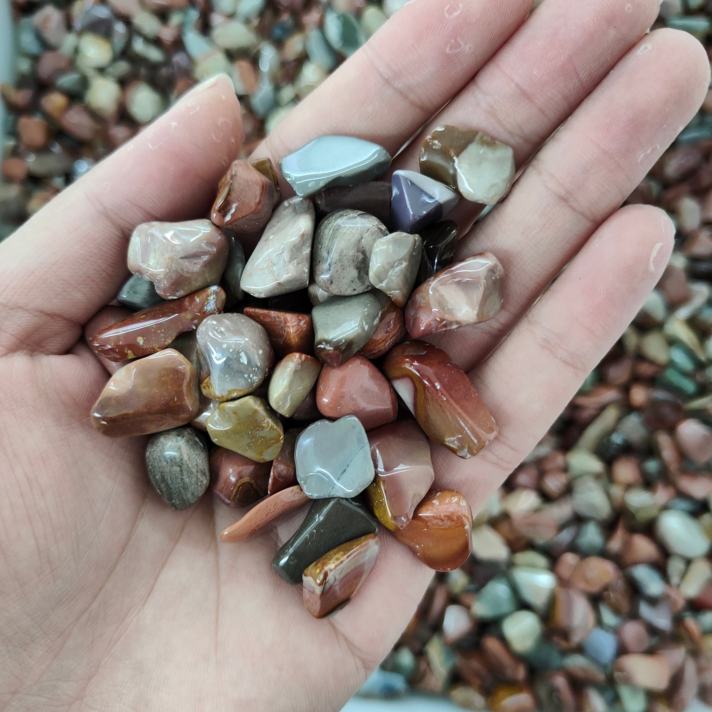 Wholesale Ocean Stone Chips