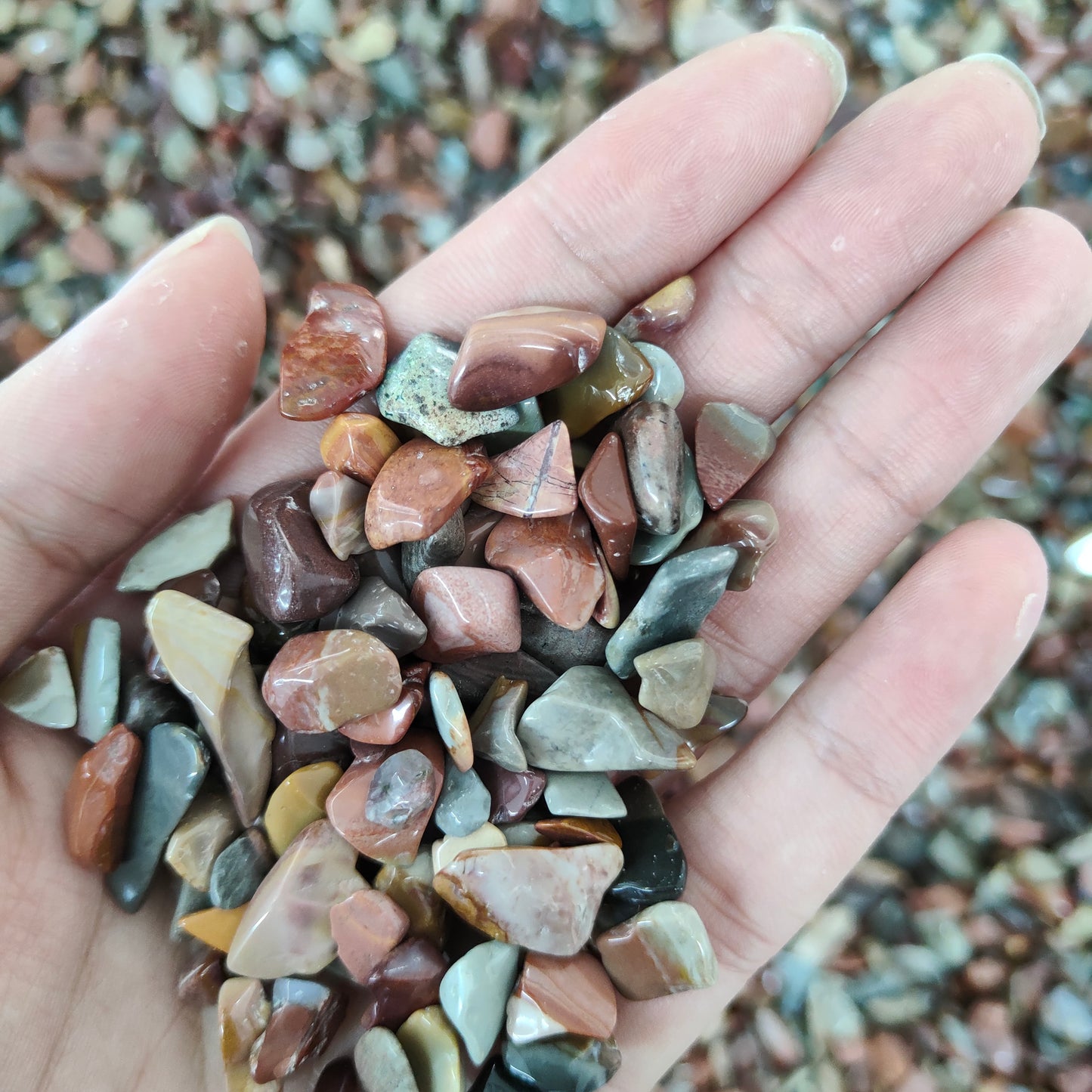 Wholesale Ocean Stone Chips