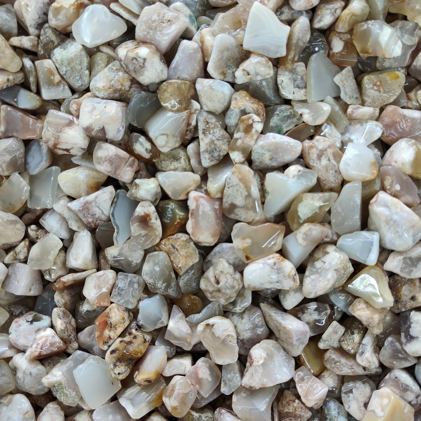 Wholesale Flower Agate Chips