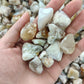 Wholesale Flower Agate Chips