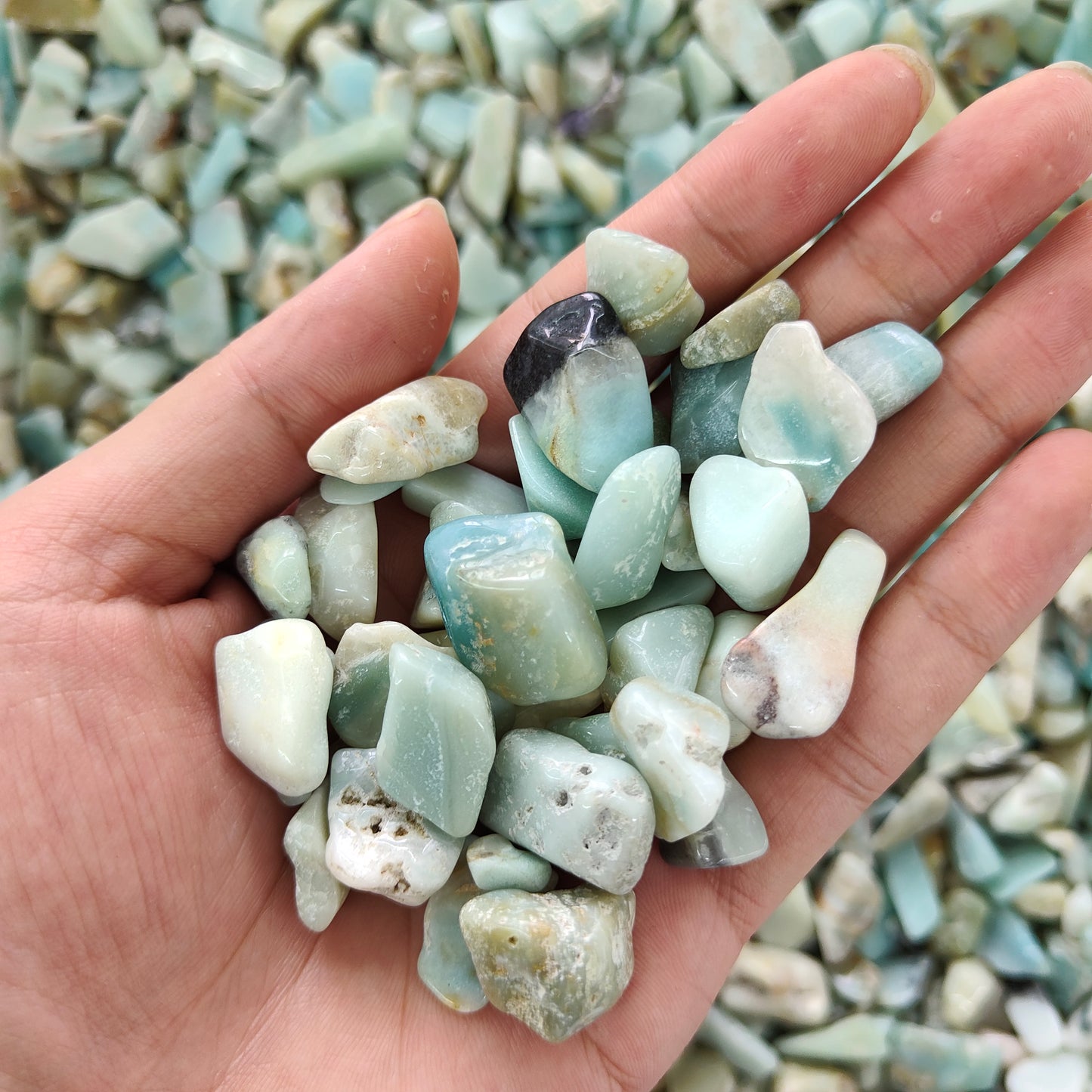 Wholesale Amazonite Chips