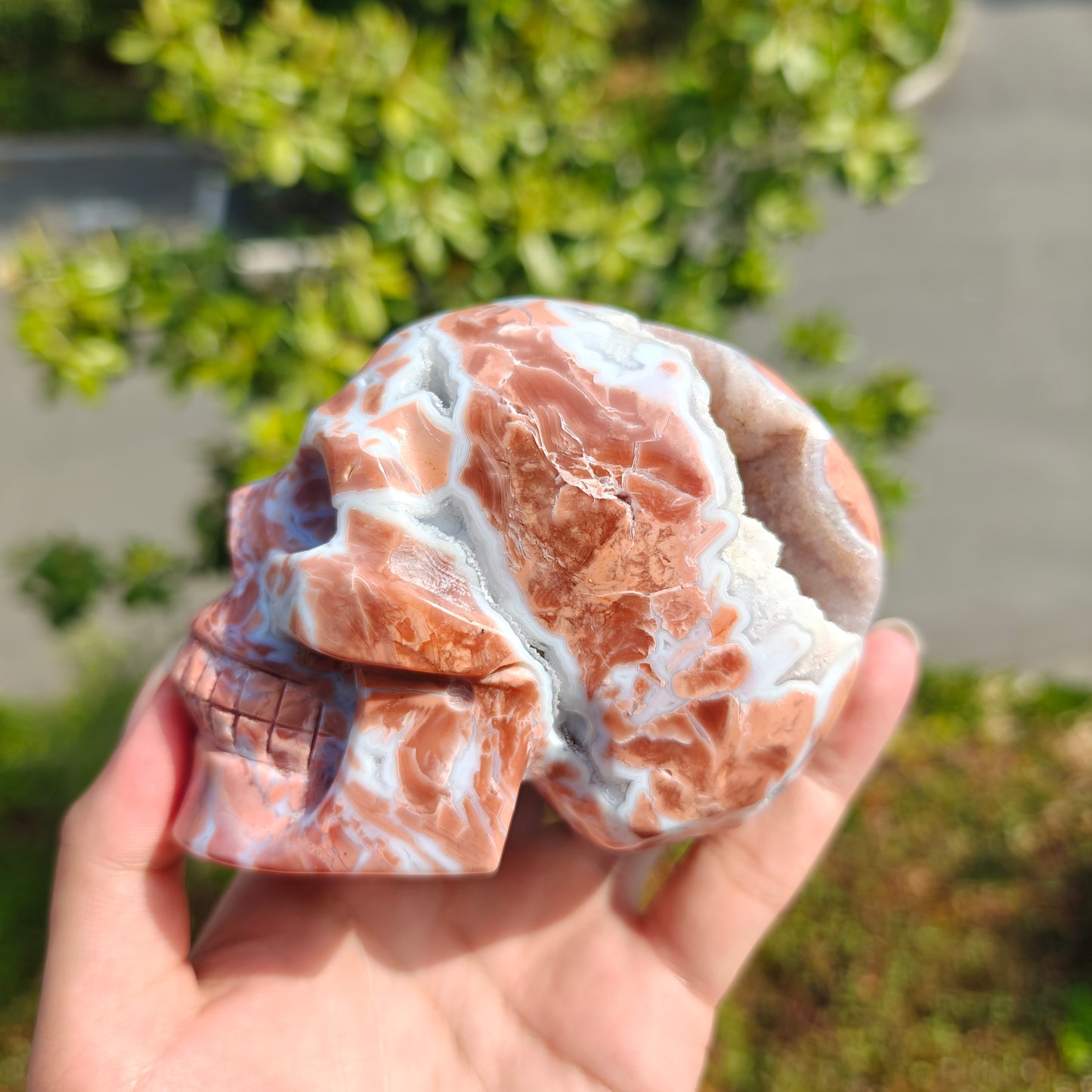 Hand Carved Petal Agate Skull For Decoration And Gift