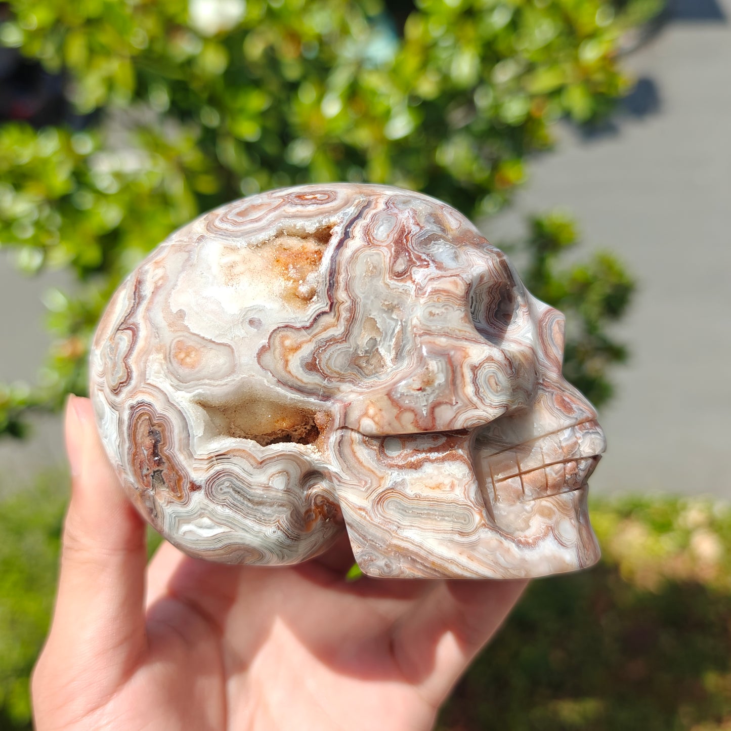 Hand Carved Mexican Agate Skull For Decoration And Gift