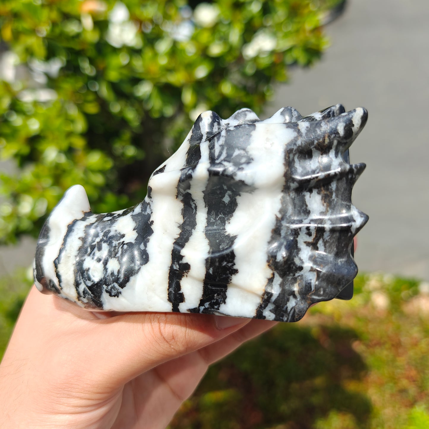 Hand Carved Black And White Zebra Jasper Dragon Head For Decoration And Gift