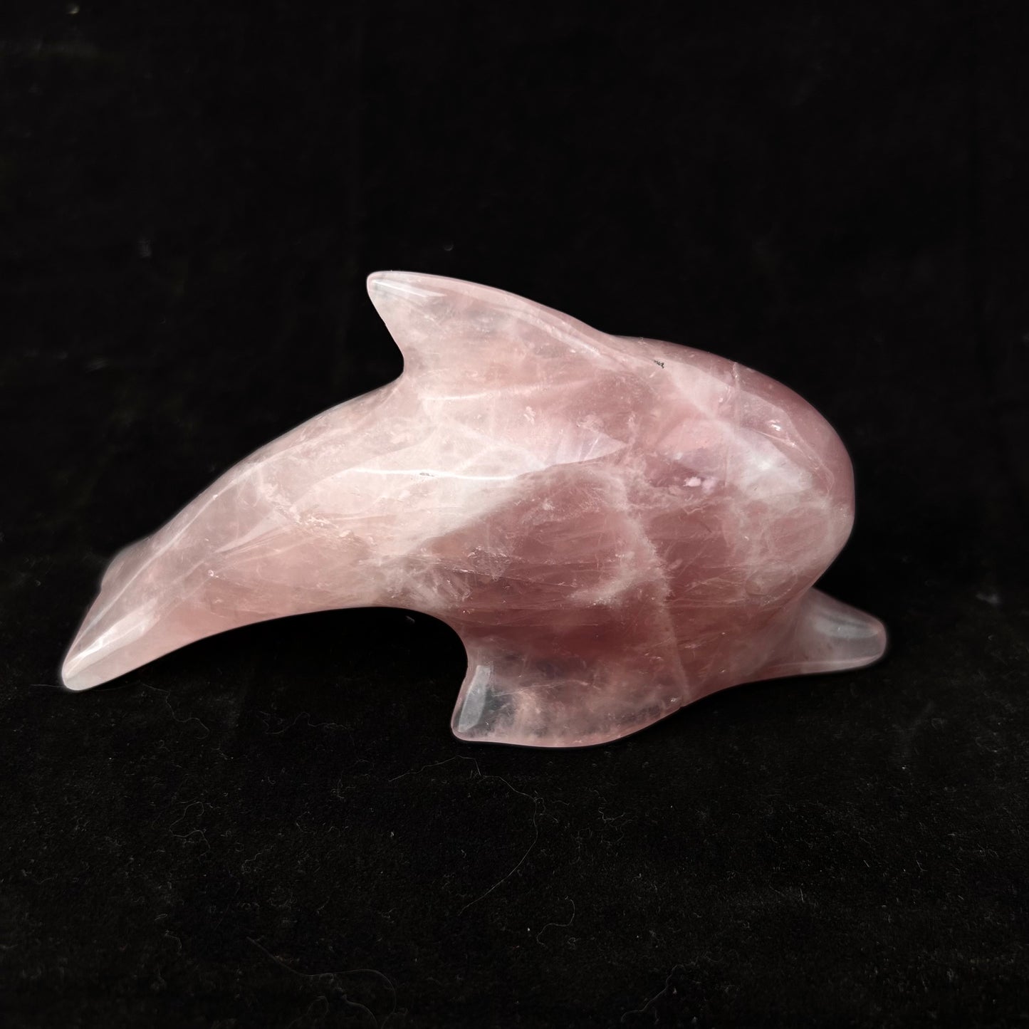 New Arrivals Hand Carved Rose Quartz Dolphin