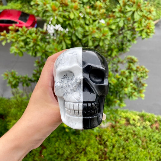 Obsidian And Howlite Stone Skull Halloween Gift Halloween Decoration Collection