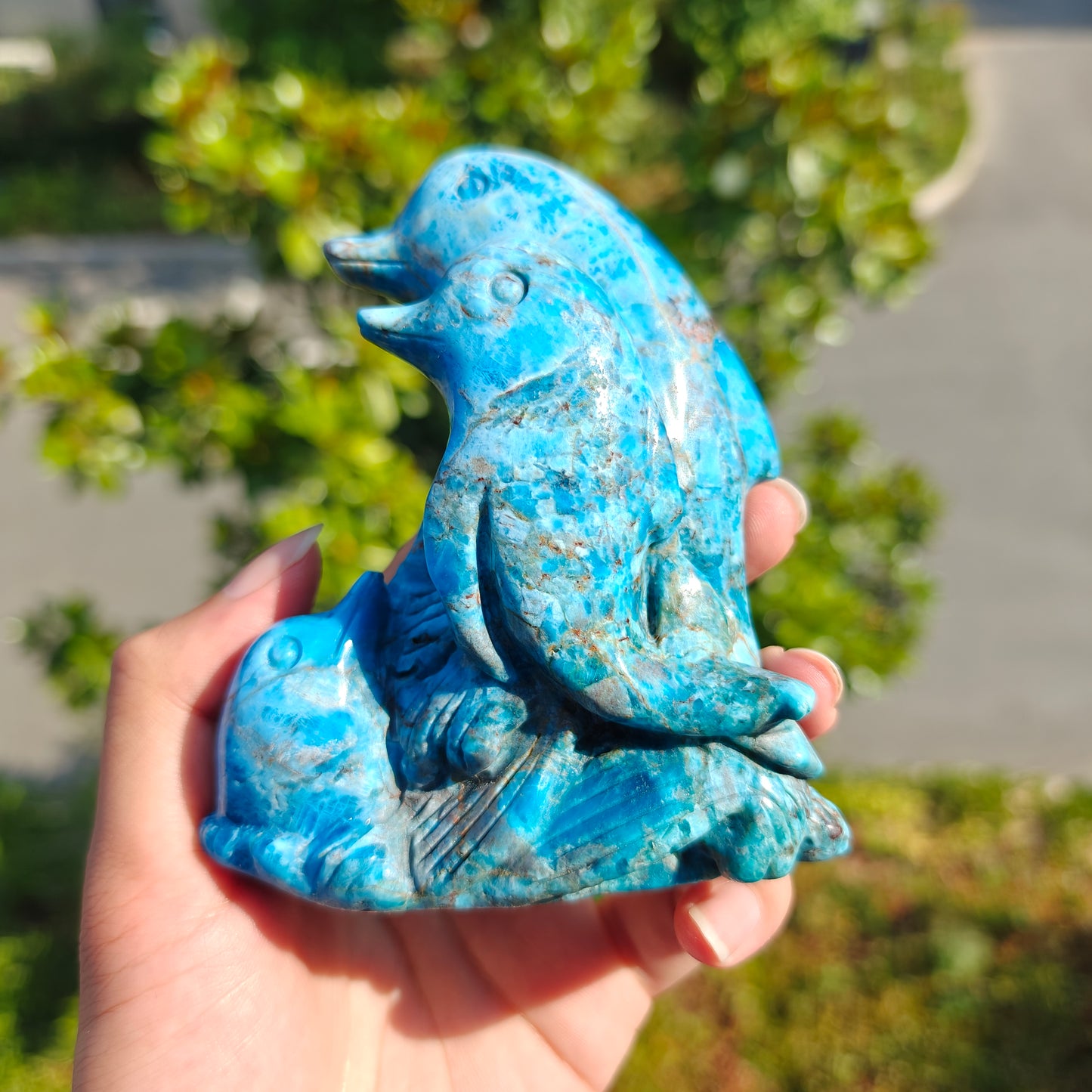 Hand Carved Blue Apatite Dophine For Decoration And Gift