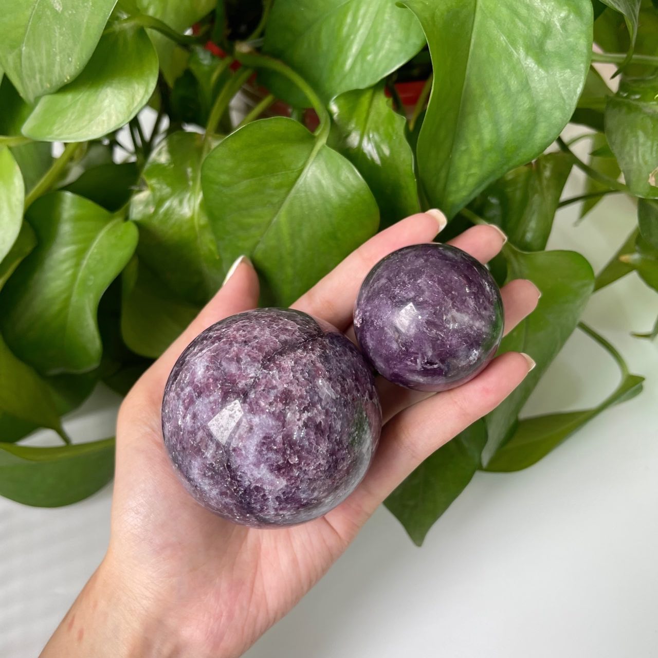 Wholesale Lepidolite Spheres