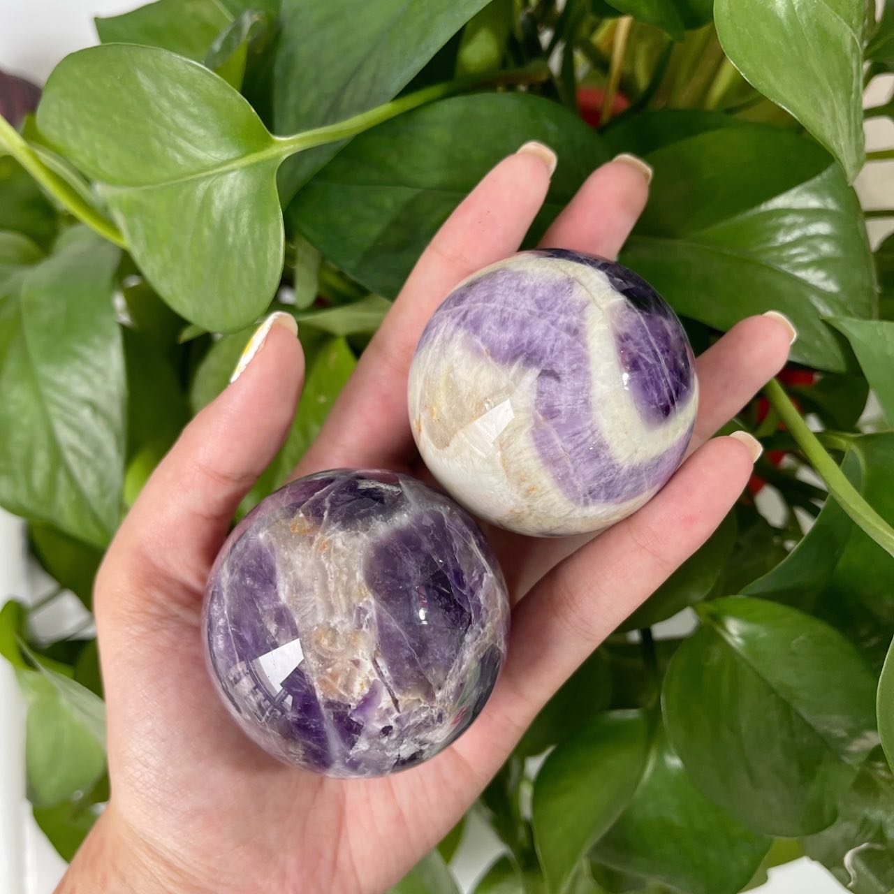 Wholesale Dream Amethyst Spheres