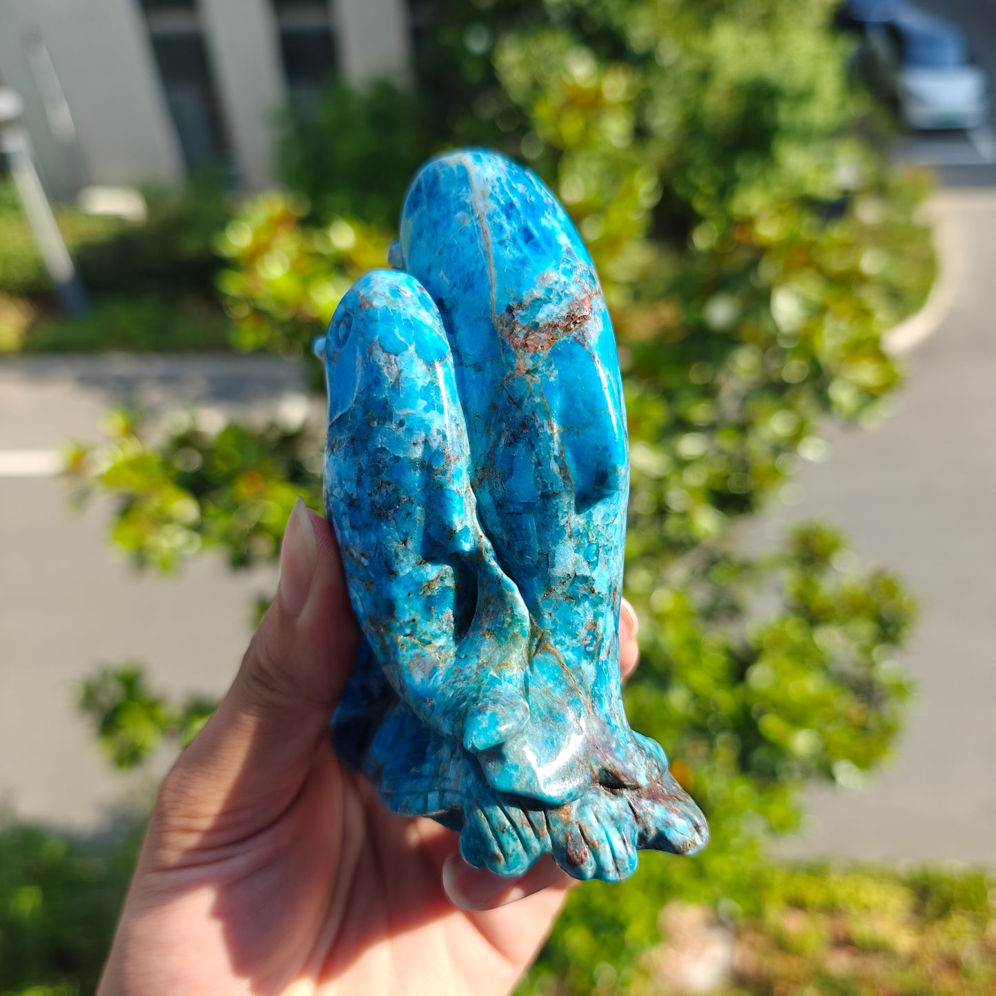 Hand Carved Blue Apatite Dophine For Decoration And Gift