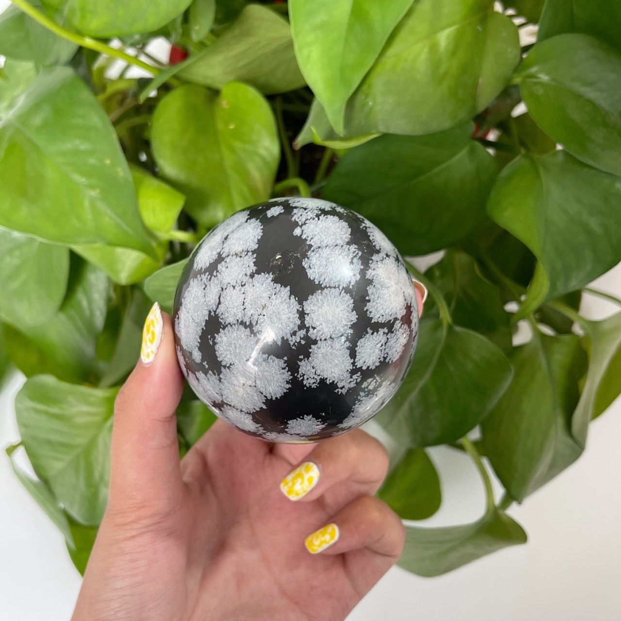 Wholesale Snowflake Obsidian Spheres