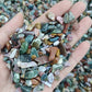 Wholesale Ocean Jasper Chips