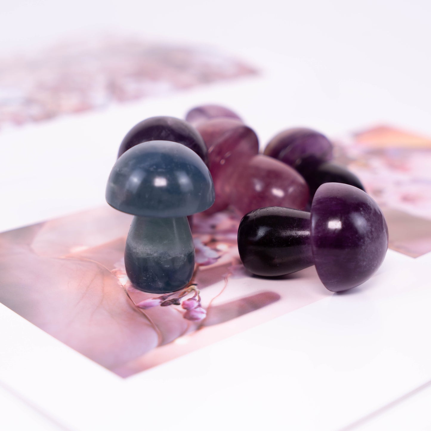 Fluorite Mushroom Carved Mushroom Polished Crystal Cute Mushroom Stones