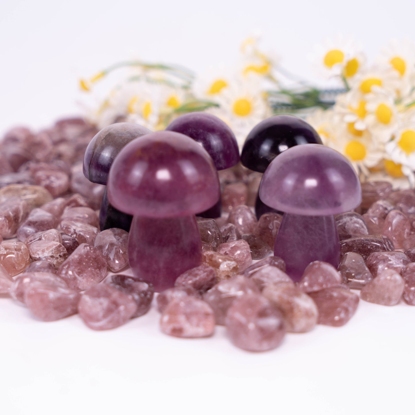 Fluorite Mushroom Carved Mushroom Polished Crystal Cute Mushroom Stones