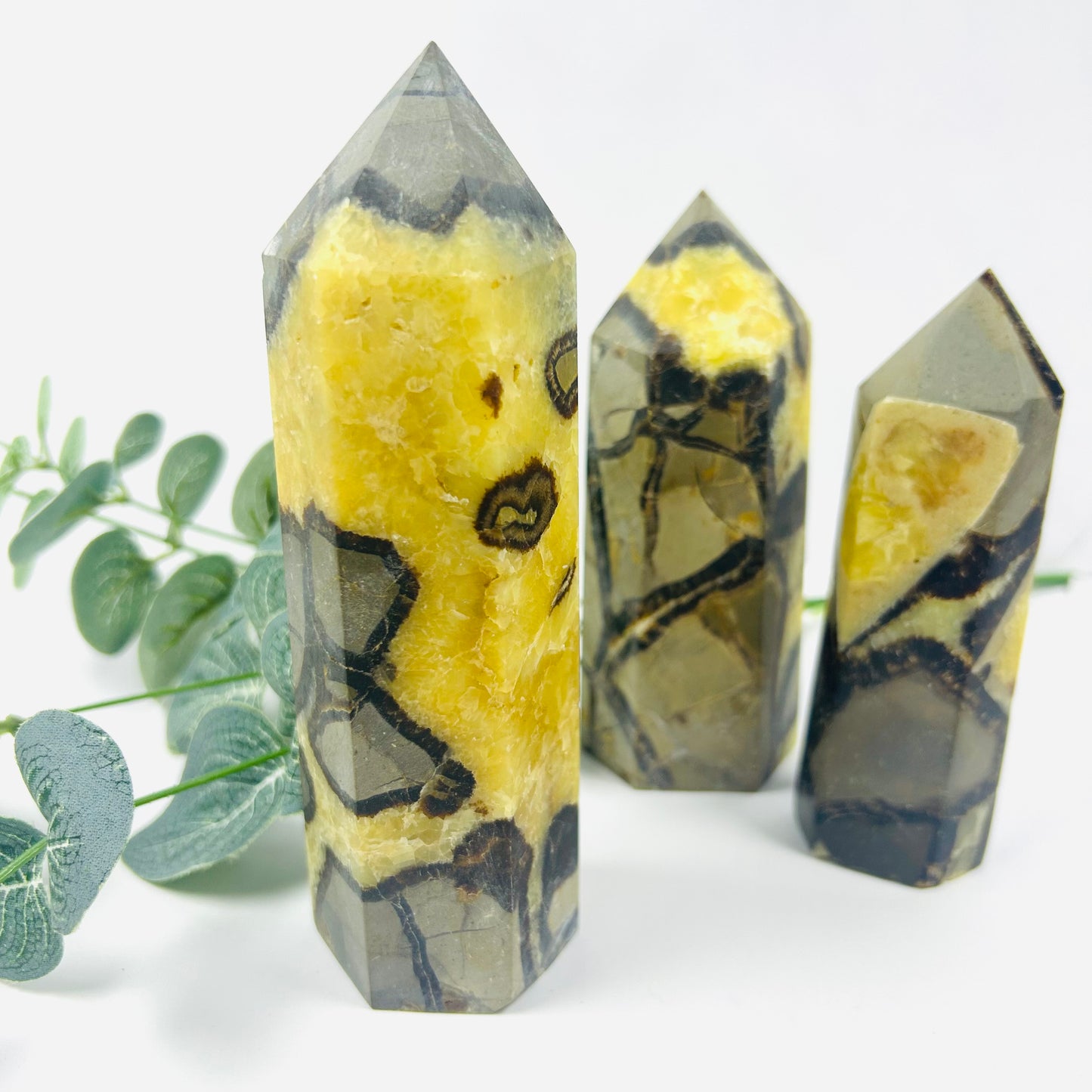 Septarian Single Pointed Tower Reduce Electromagnetic Radiation And Degauss