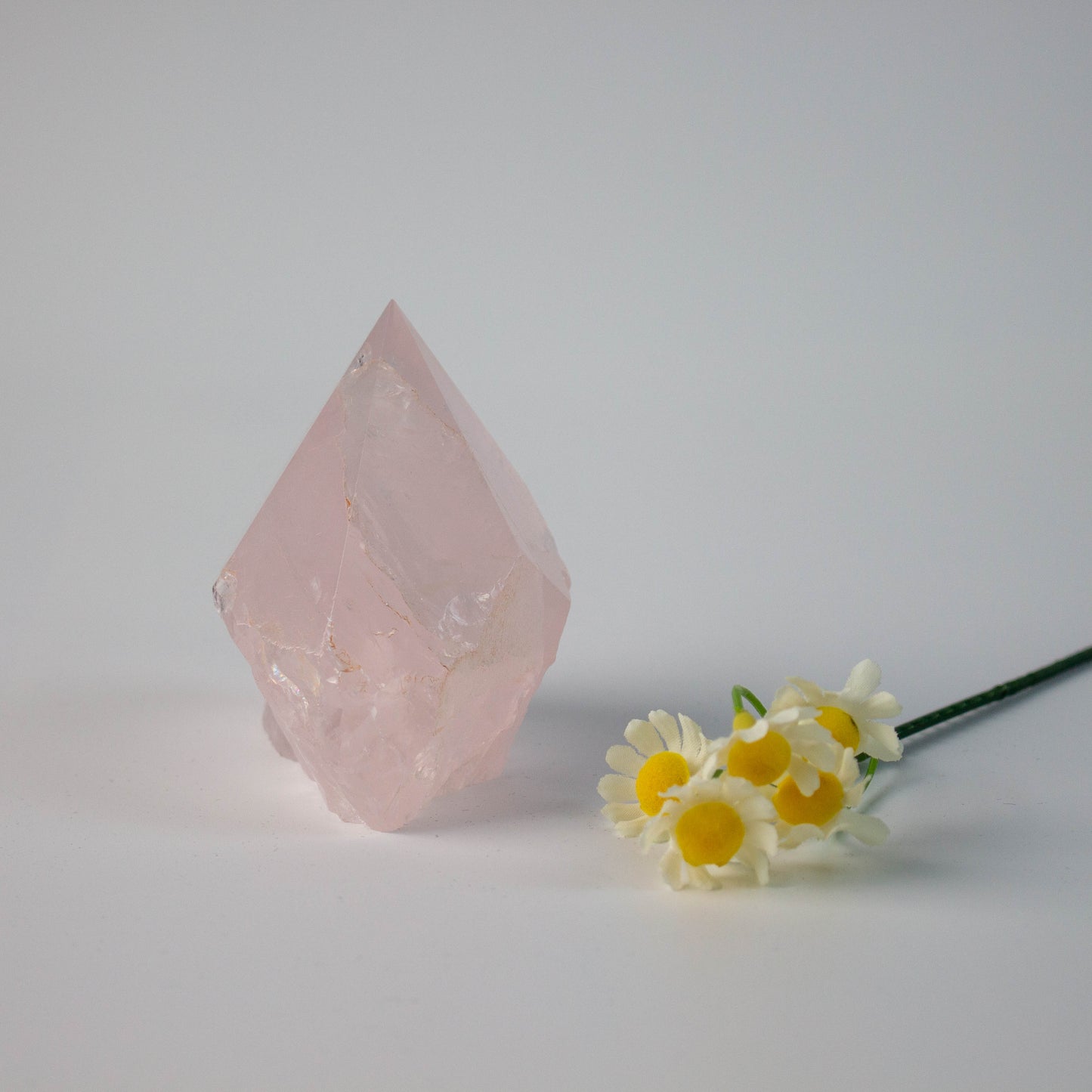 Rose Quartz Raw Stone With Single Point