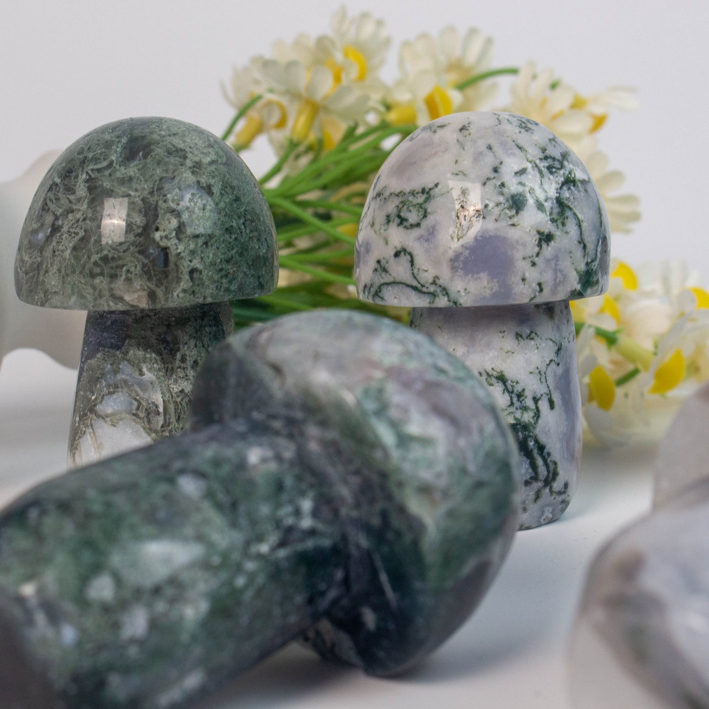 Moss Agate Mushrooms